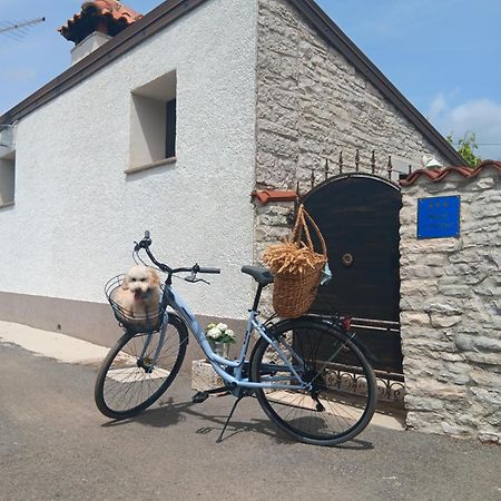Authentic Istria&Pet Friendly Apartment Banko Near Rovinj Kanfanar Extérieur photo