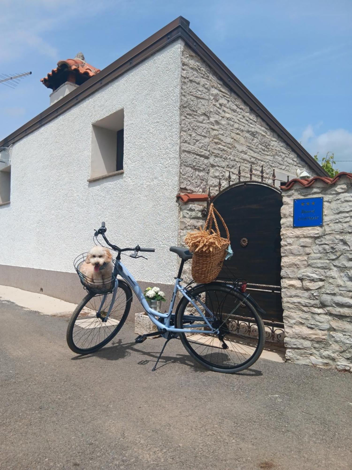 Authentic Istria&Pet Friendly Apartment Banko Near Rovinj Kanfanar Extérieur photo