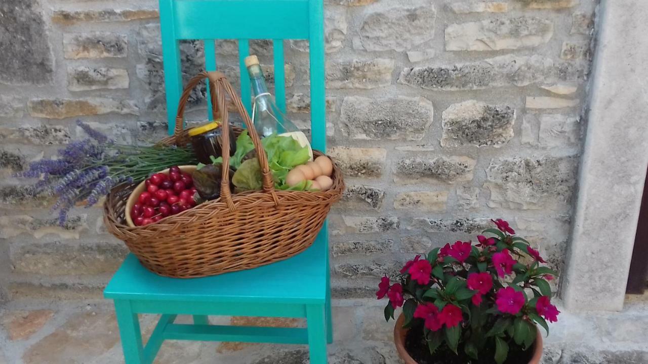 Authentic Istria&Pet Friendly Apartment Banko Near Rovinj Kanfanar Extérieur photo